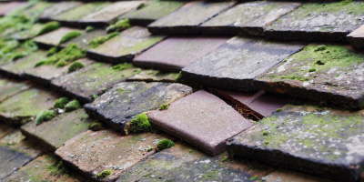 Burford roof repair costs